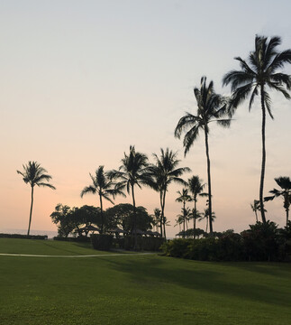 夏威夷海滨日落