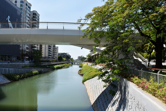 深圳新洲河红树碧道