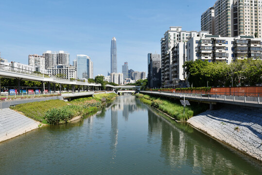 深圳新洲河红树碧道