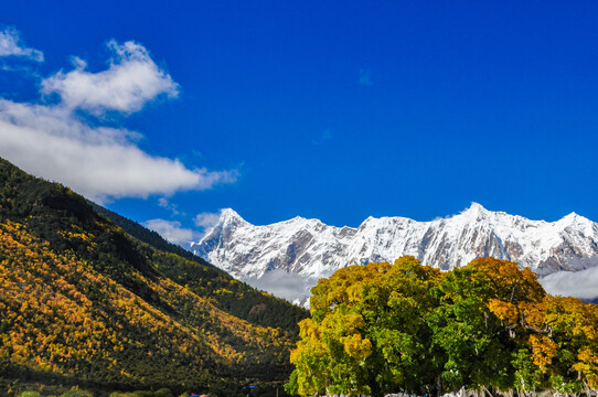 南迦巴瓦峰