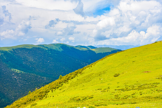 卡子拉山