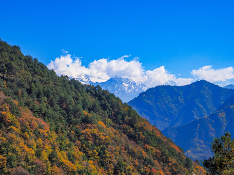 牛背山