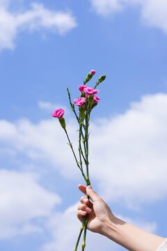 女性手拿鲜花送花