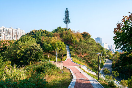 湖北宜昌半岛森林公园