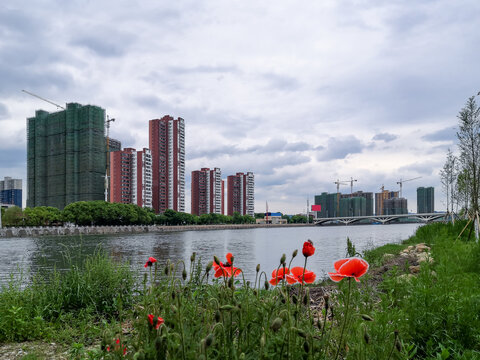 湖北远安县桃花岛湿地生态公园