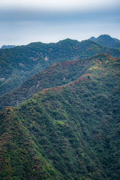 圭峰山秋景竖拍