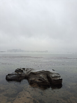 雨中湖泊