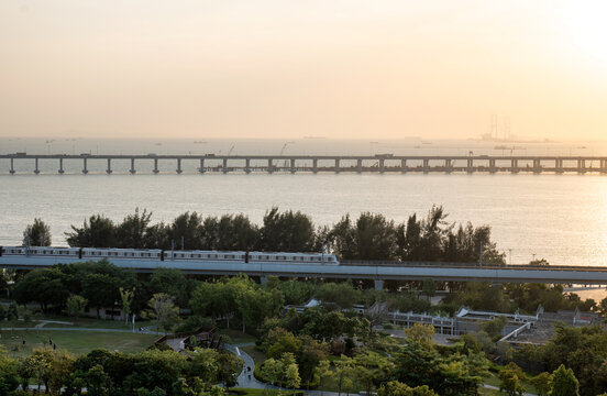 深圳地铁11号线与西湾红树林