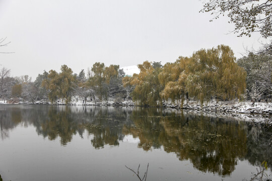 北京大学雪景图