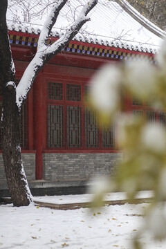 北京大学学景图