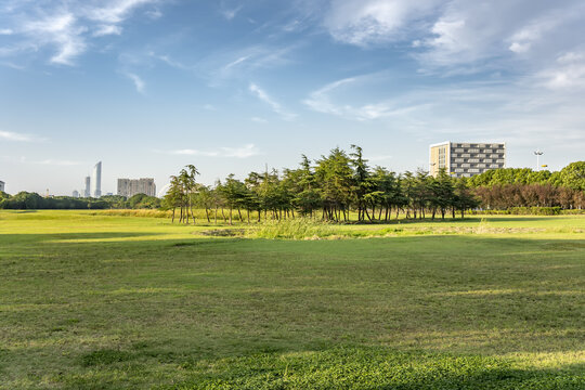 城市绿地背景实拍