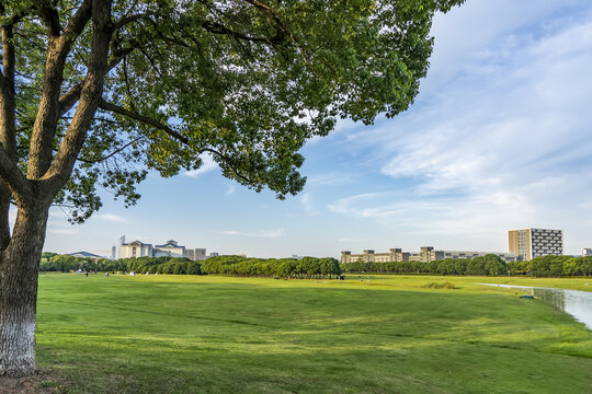 城市绿地绿化