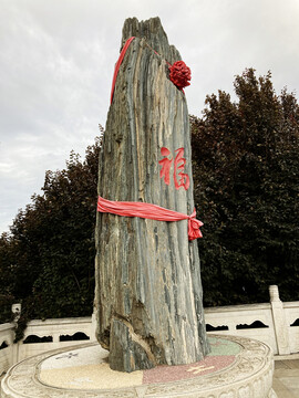 西安汉城湖景区的树化石