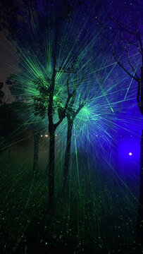 夜晚森林放射蓝色绿色灯光
