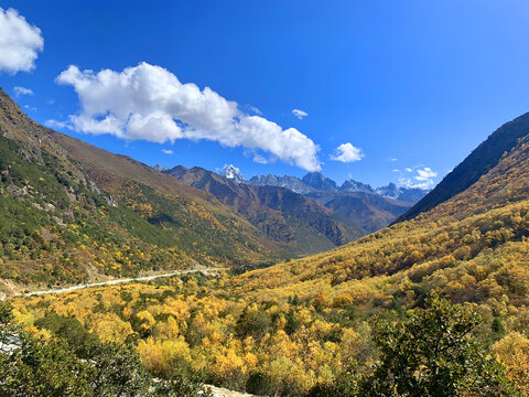 美丽的山地秋天风景