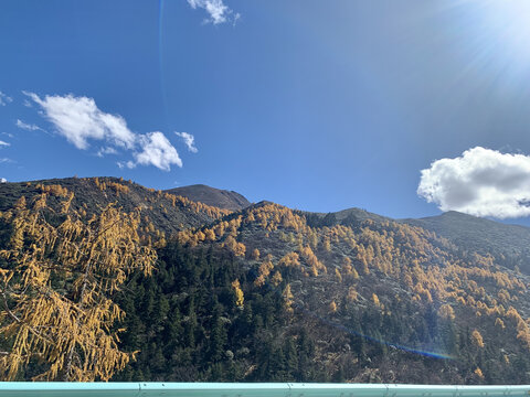 美丽的山地秋天风景