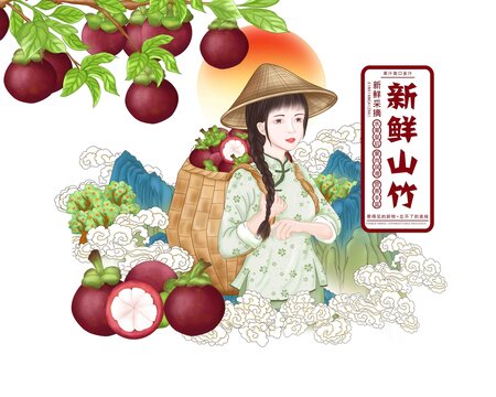 山竹包装插画设计