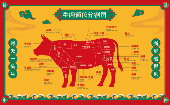 牛肉分割图