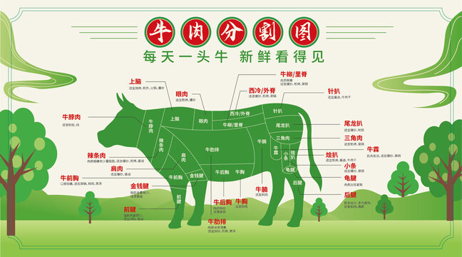 牛肉分割图