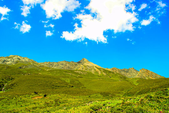 九顶山