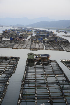 霞浦滩涂渔排