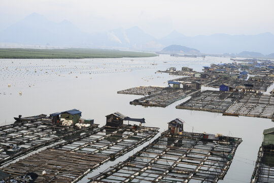 霞浦滩涂渔排