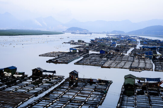 霞浦滩涂渔排