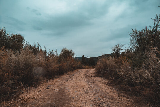 秋季山路