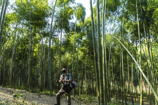 竹林南竹林