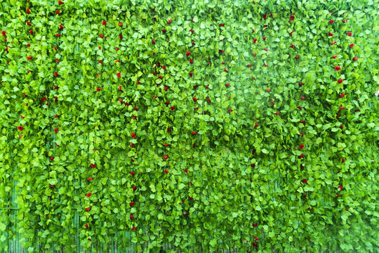 绿色背景墙植物墙