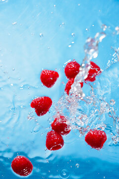 水中树莓