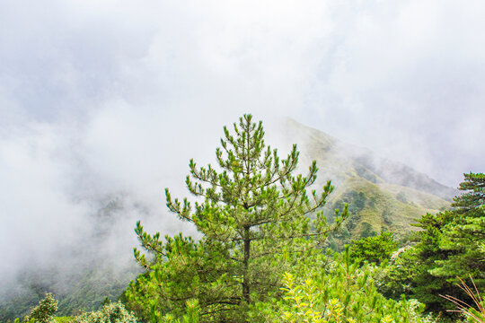 萍乡武功山风景区