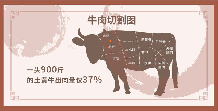 牛肉切割图