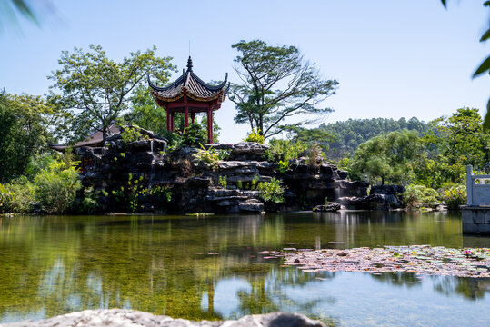 顺峰山公园景色