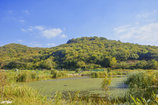 山林与湖泊