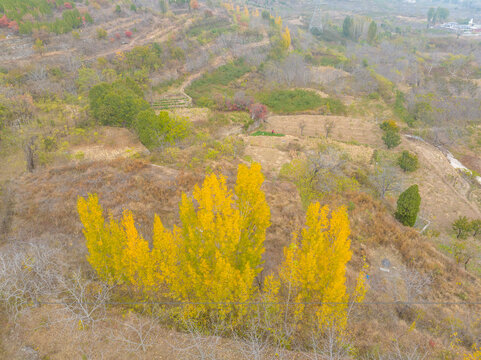 济南南部山区的秋天