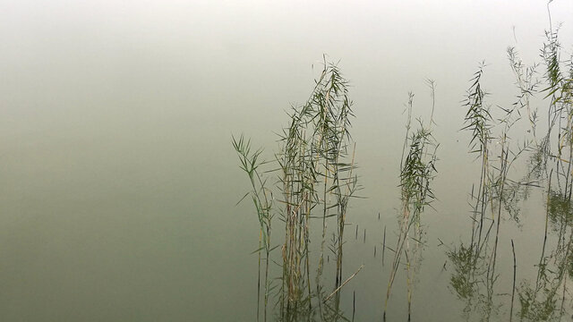 冬天的黄陂湖