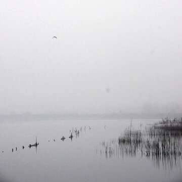 冬天的黄陂湖