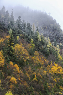 云雾缭绕高山峭壁秋色风景