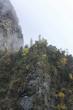 云雾缭绕高山峭壁秋色风景