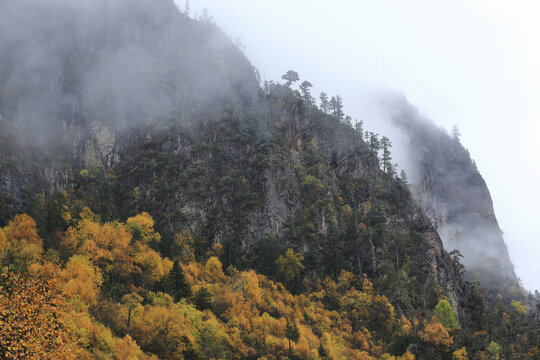 云雾缭绕高山峭壁秋色风景