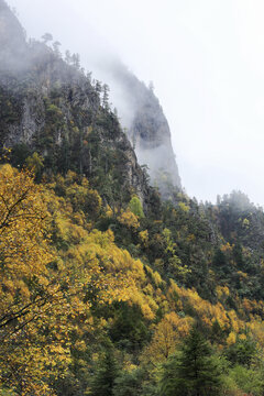 云雾缭绕高山峭壁秋色风景