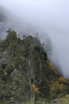 云雾缭绕高山峭壁秋色风景