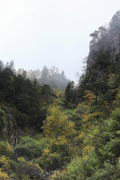 云雾缭绕高山峭壁秋色风景