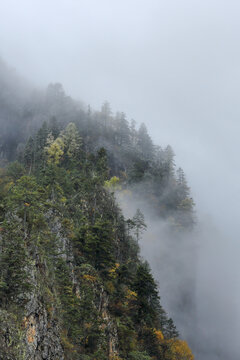 云雾缭绕高山峭壁秋色风景