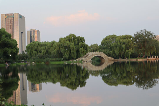 湖边城市美景夏天倒影公园绿化