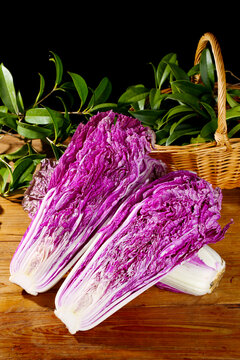 紫罗兰白菜