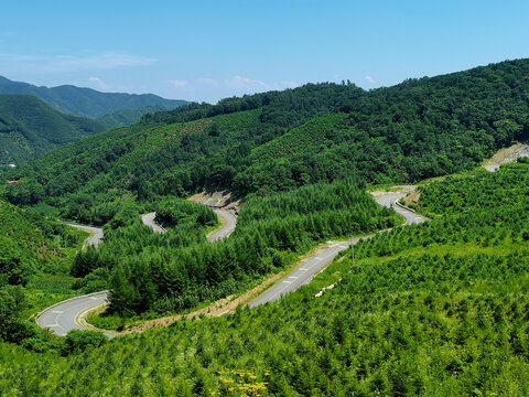 盘山公路