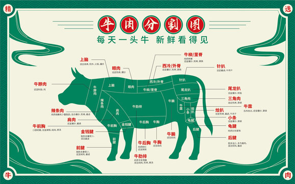 牛肉分割图