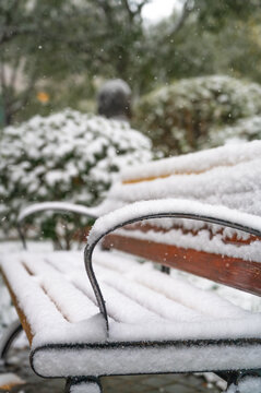 雪天特写